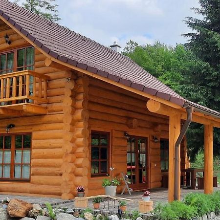 Вилла Cabana Alesia Порумбаку-де-Сус Экстерьер фото